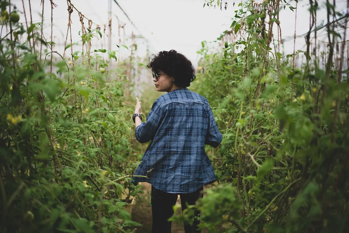 Landscape designer walking through a finished garden