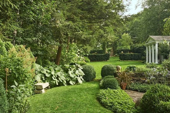 Luxury garden planting and landscape design
